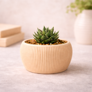 "Chermside" - Top Bowl Linea Pot