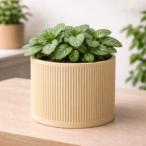 "Hornsby" - Linea Cylindrical Pot