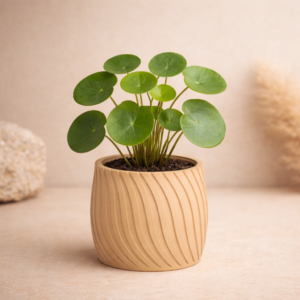 Broadmeadows-Ribbed Spiral 3D Printed Planter 80mm Sand Indoor Pot